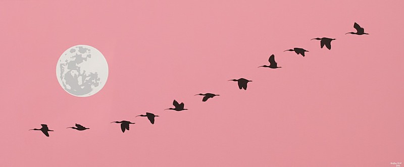 Fim do expediente II / End of the working day II - Silhuetas do Pantanal / Silhouettes of the Pantanal