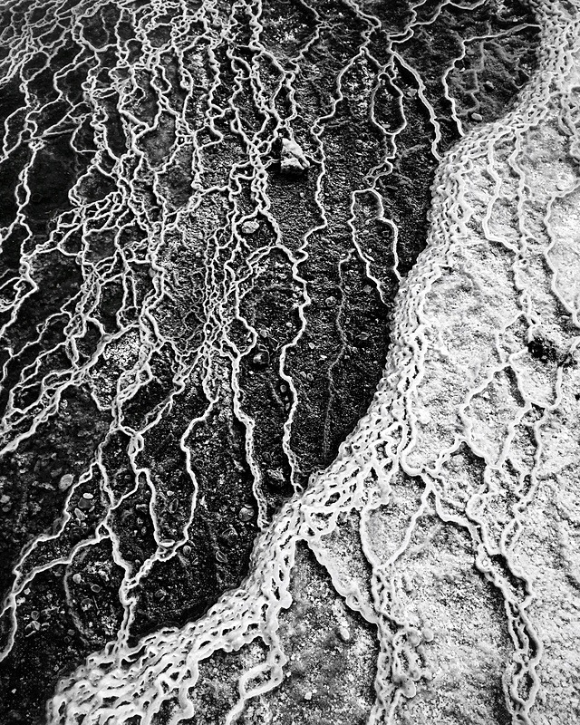 Salt - Portfolio