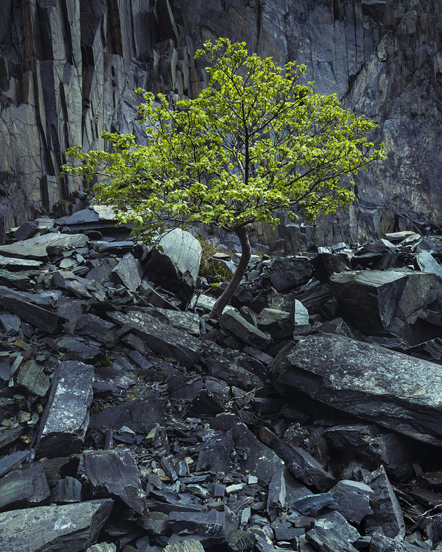 Spring - Portfolio
