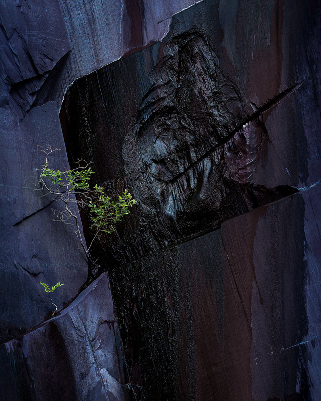 New Growth - Portfolio