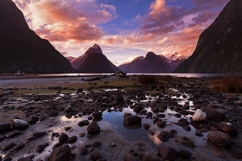 Milford Sound - Portfolio