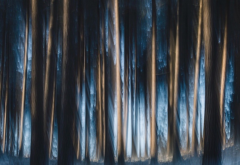 Trunks - Portfolio