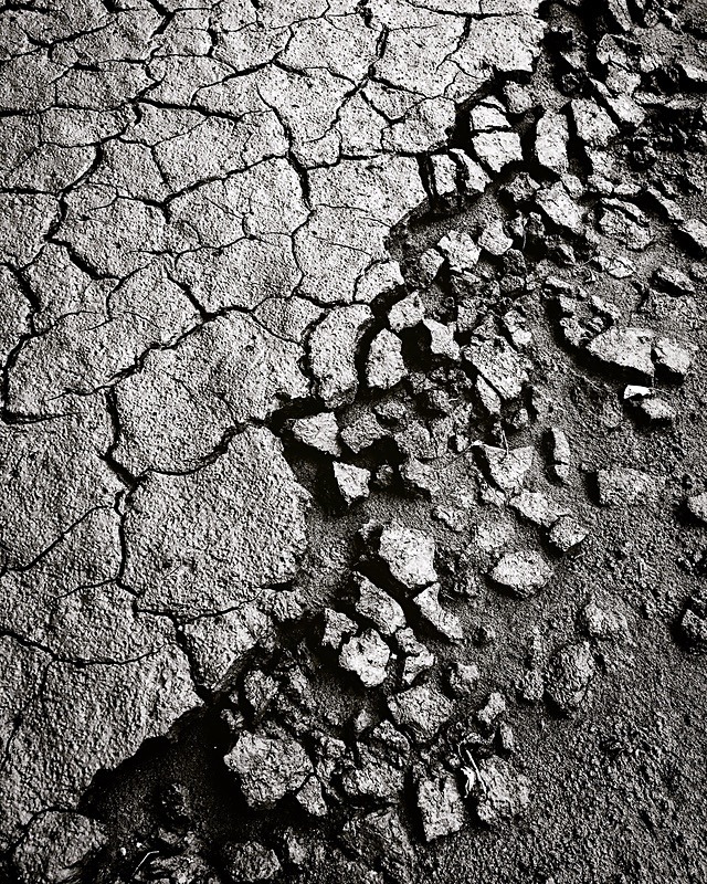 Riverbank - Portfolio