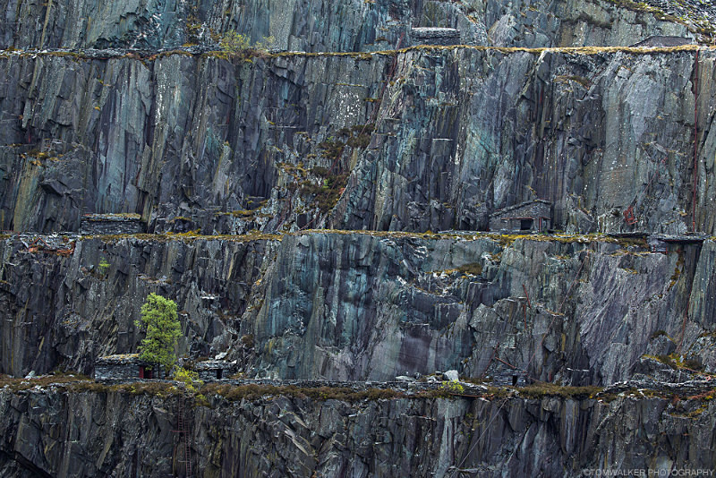 Quarry - Portfolio