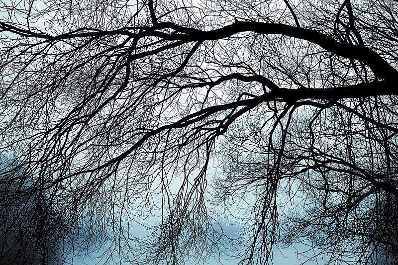 Edge of the pond - Portfolio