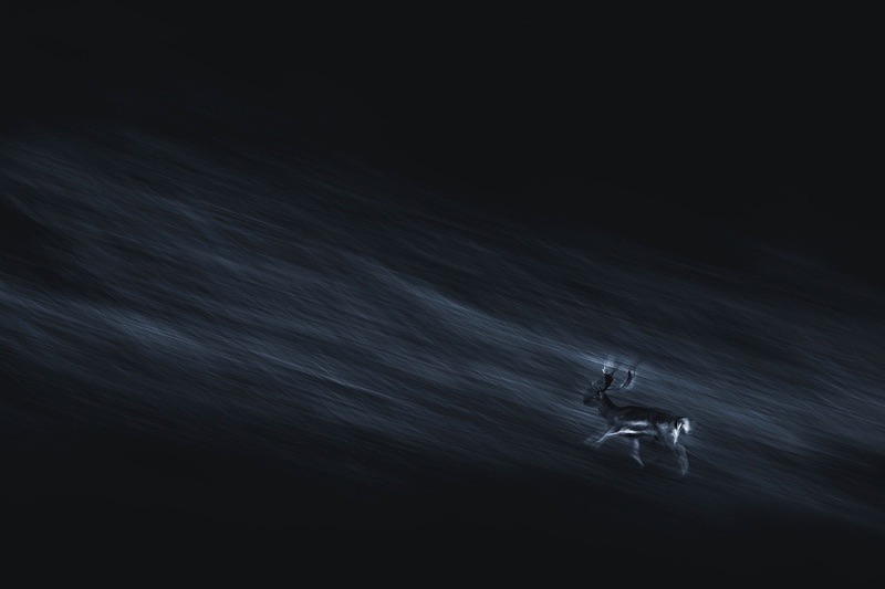 Uphill - Portfolio