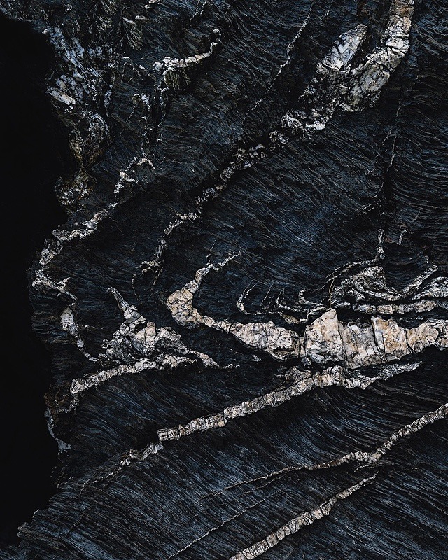 Veins - Portfolio