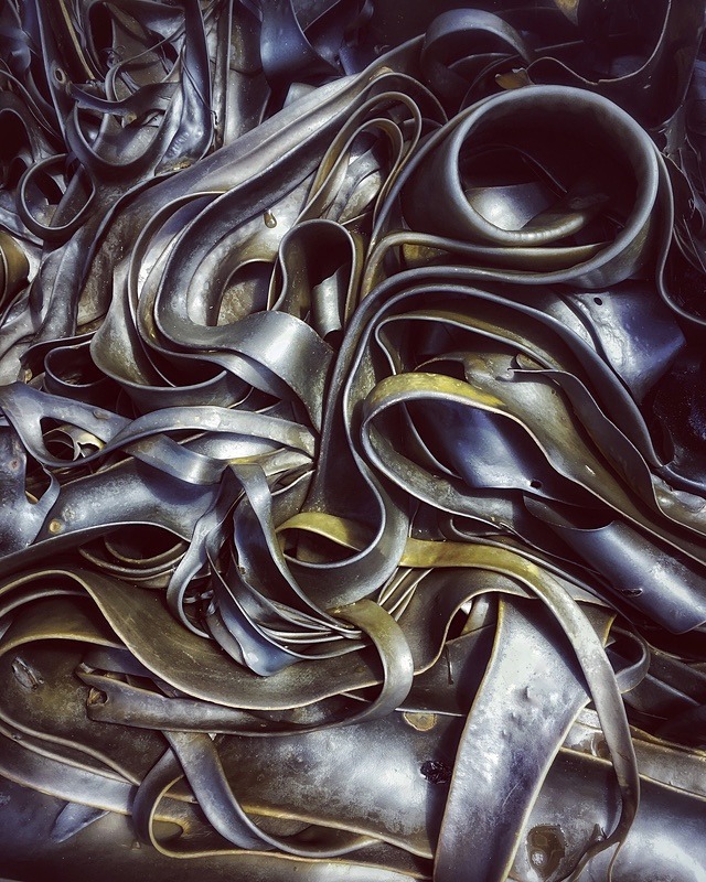Kelp - Portfolio