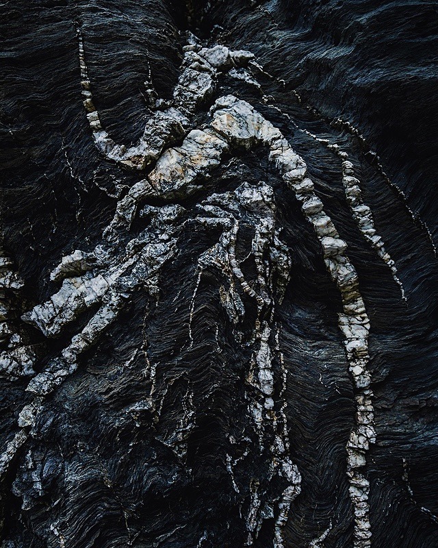 Veins - Portfolio
