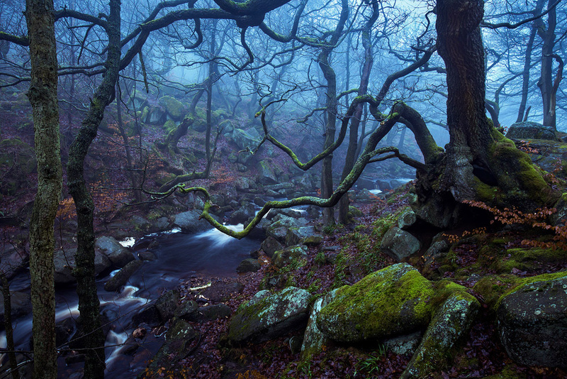 Padley Gorge - Portfolio