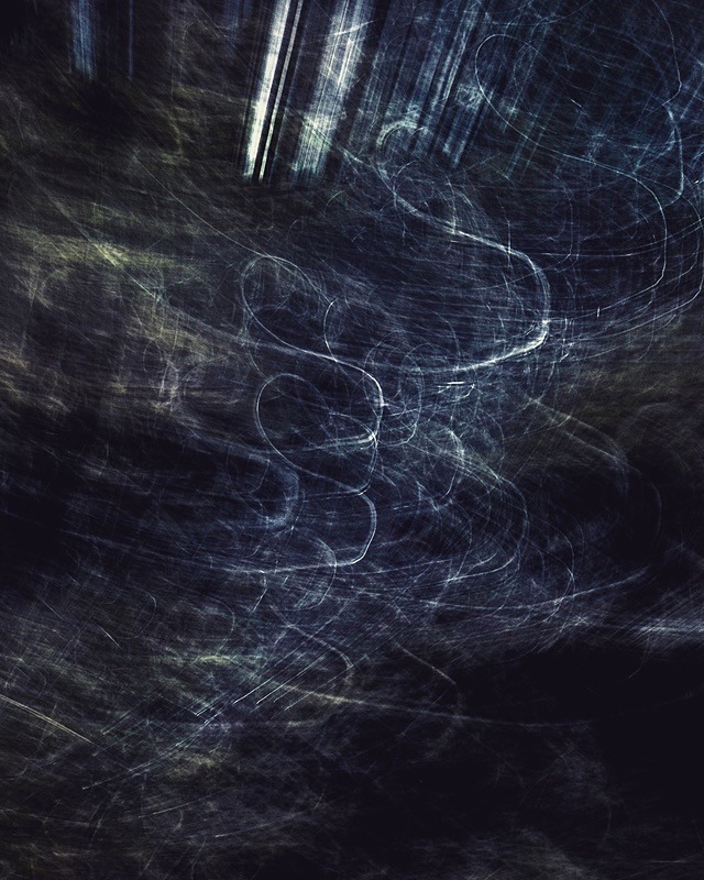 Stream through trees - Portfolio