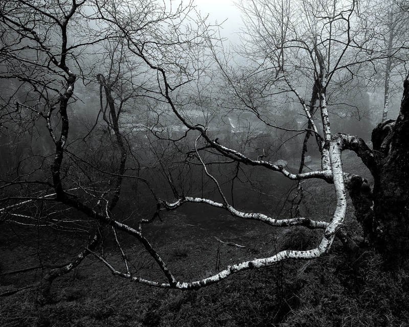 Twisted - Portfolio