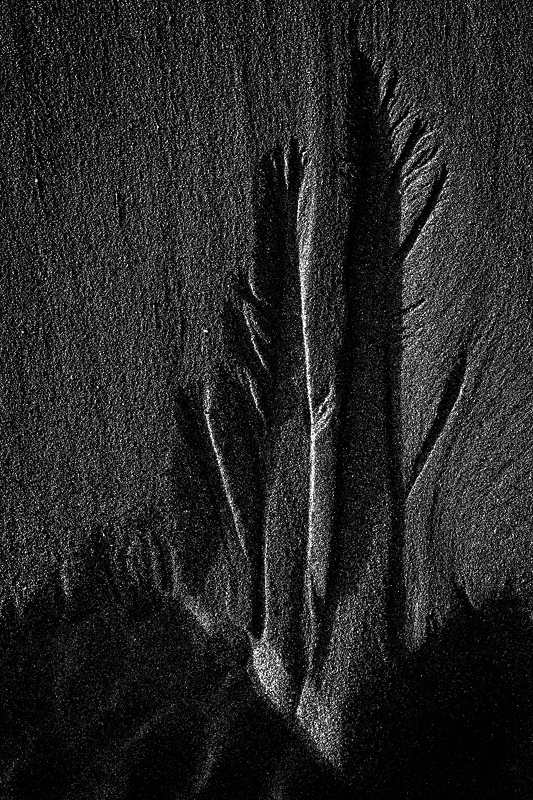 Sand - Portfolio