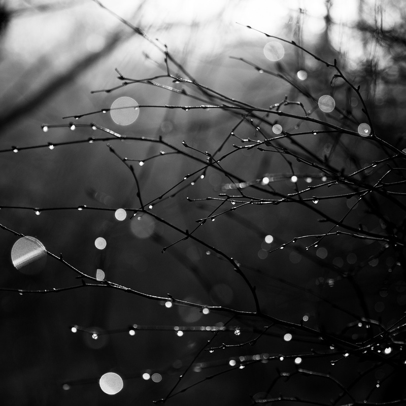 Melting Frost - Portfolio