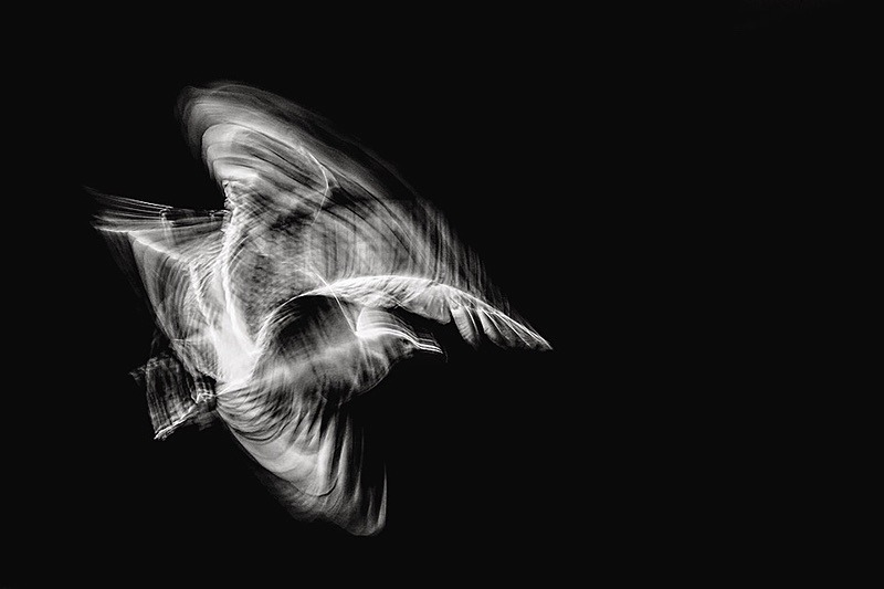 Take off - Portfolio