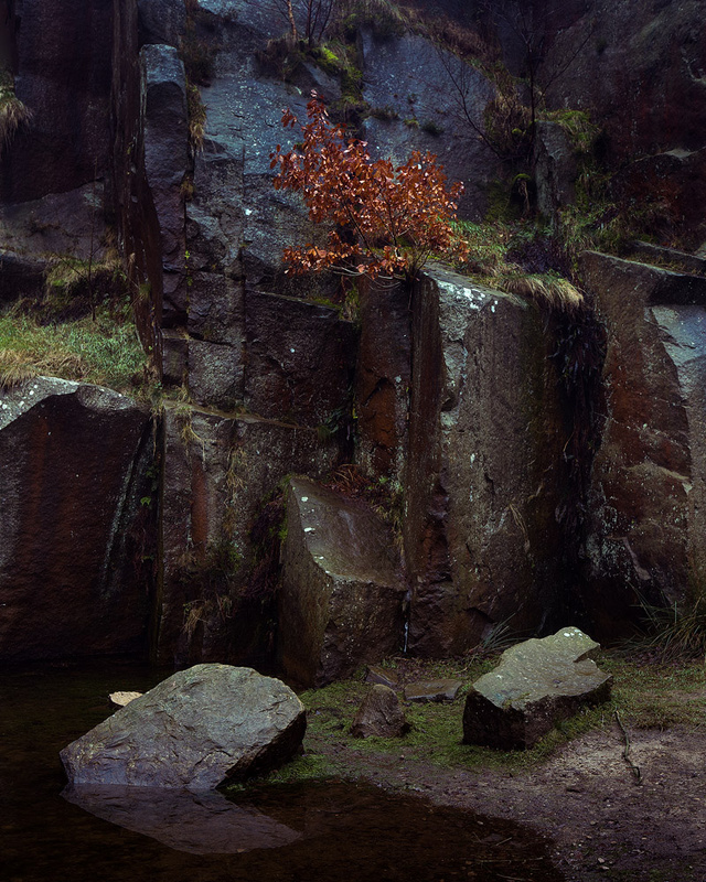 Quarry Wall - Portfolio