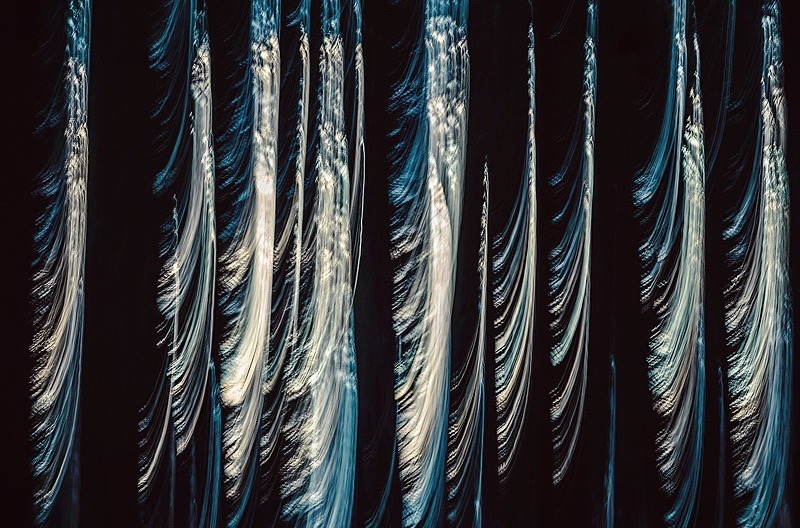 Gaps in the trees - Portfolio