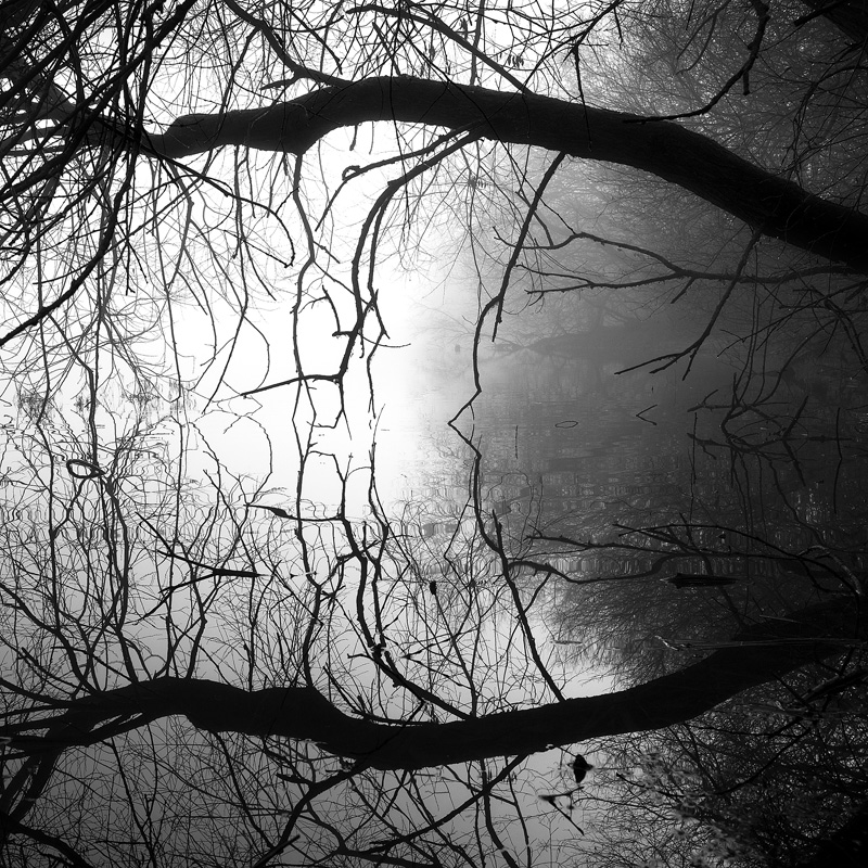 Reflections - Portfolio