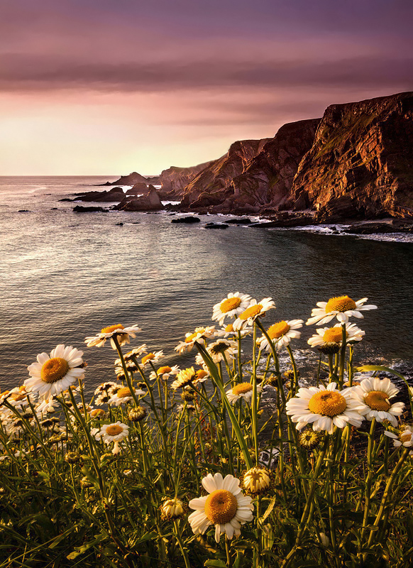 Hartland Quay - Portfolio