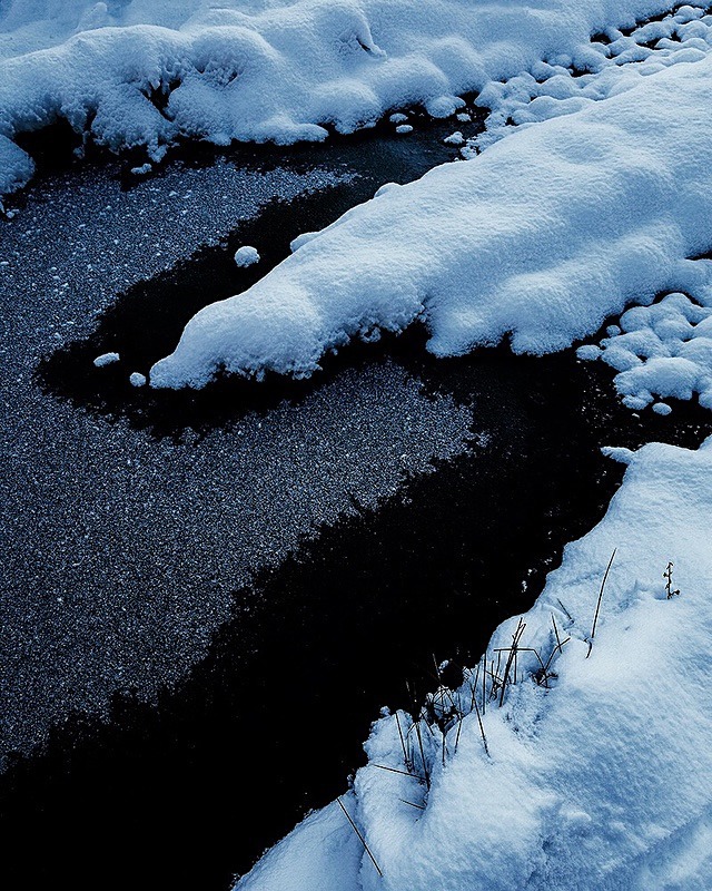 Edge of the pond - Portfolio