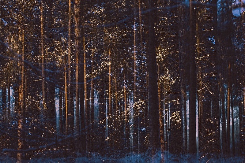 Winter layers - Portfolio