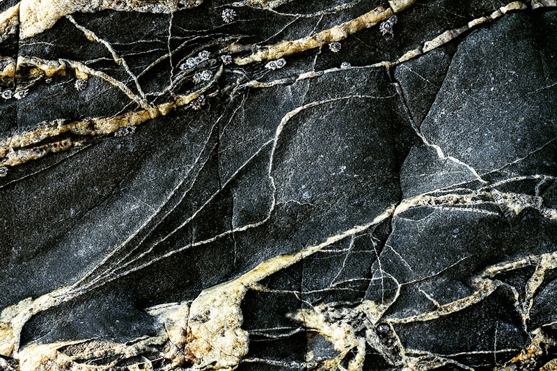 Veins - Portfolio
