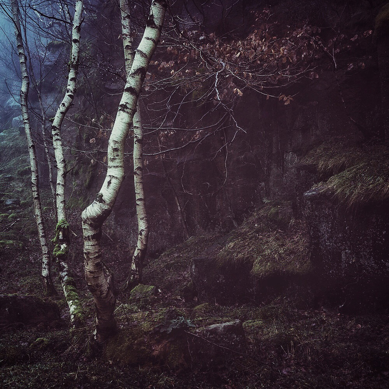 Quarry Wall - Portfolio