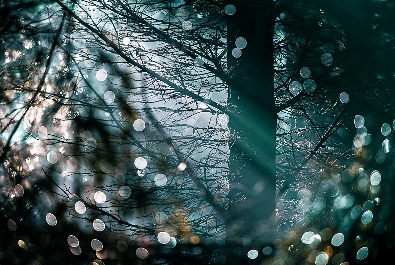 Winter Light - Portfolio