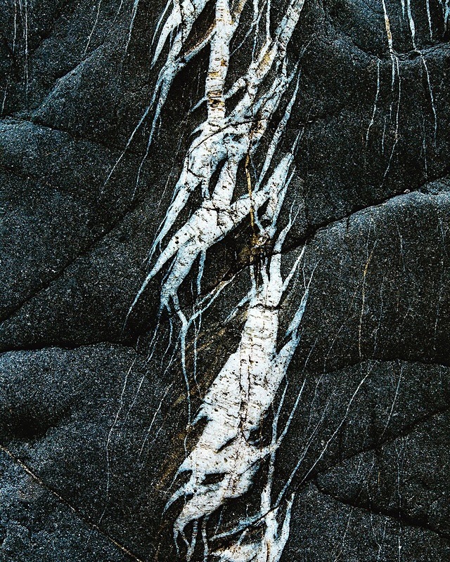 Veins - Portfolio