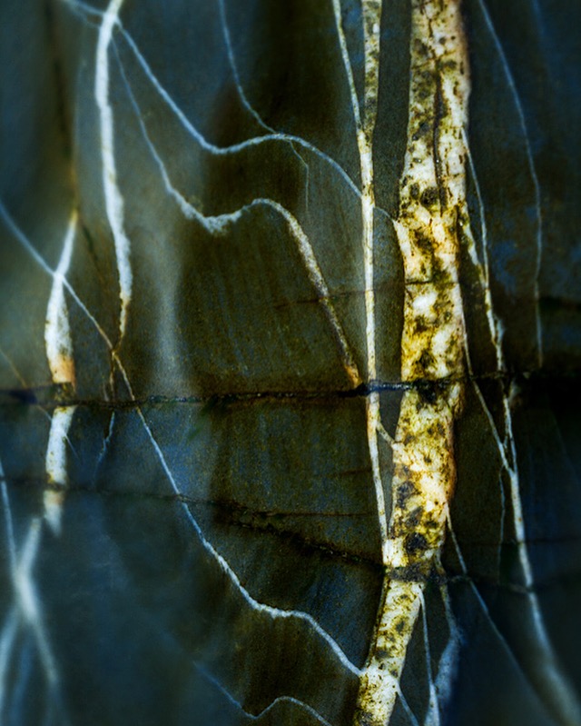 Veins II - Portfolio