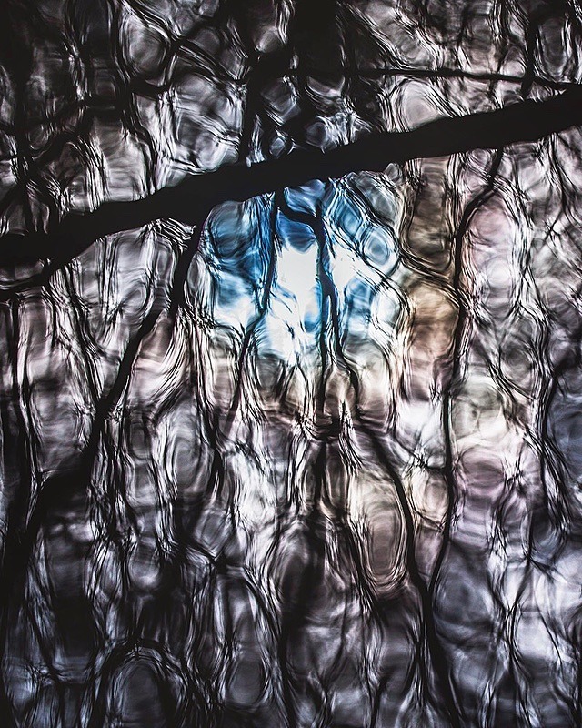 Canopy reflections - Portfolio