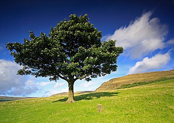  - Hills and Valleys
