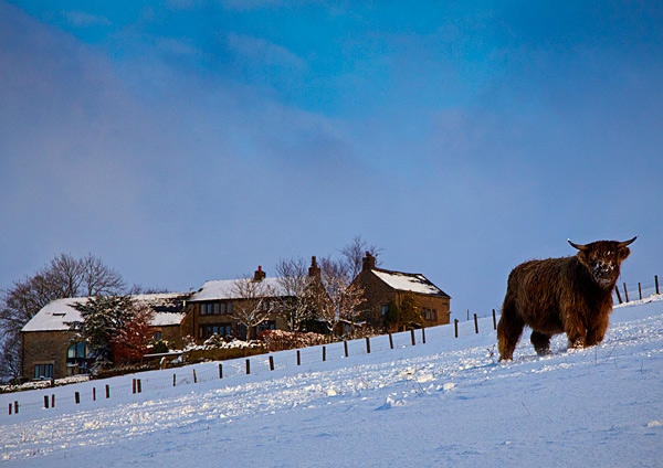  - Winter