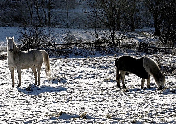  - Winter