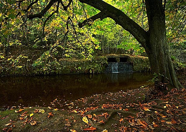  - Rivers and Streams