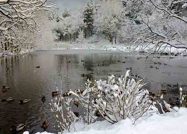  - Winter