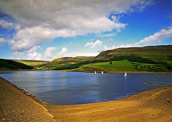  - Dovestone
