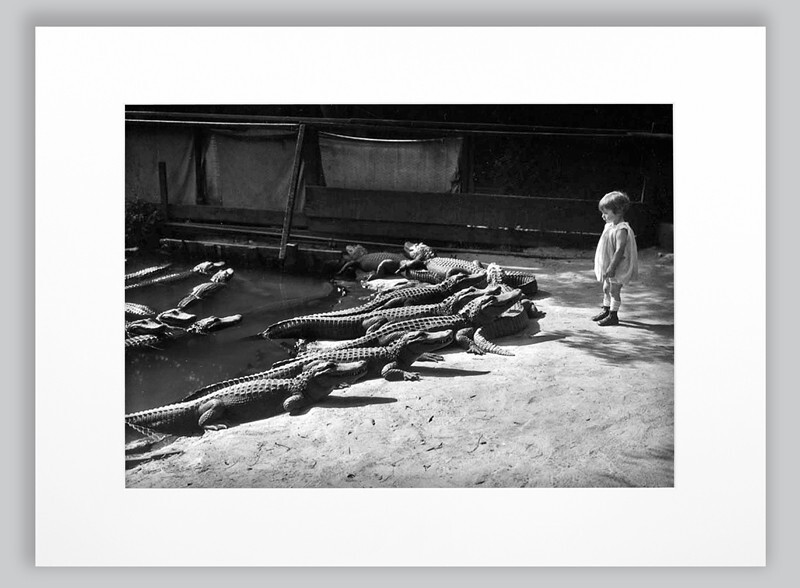  - PEOPLE & ANIMALS