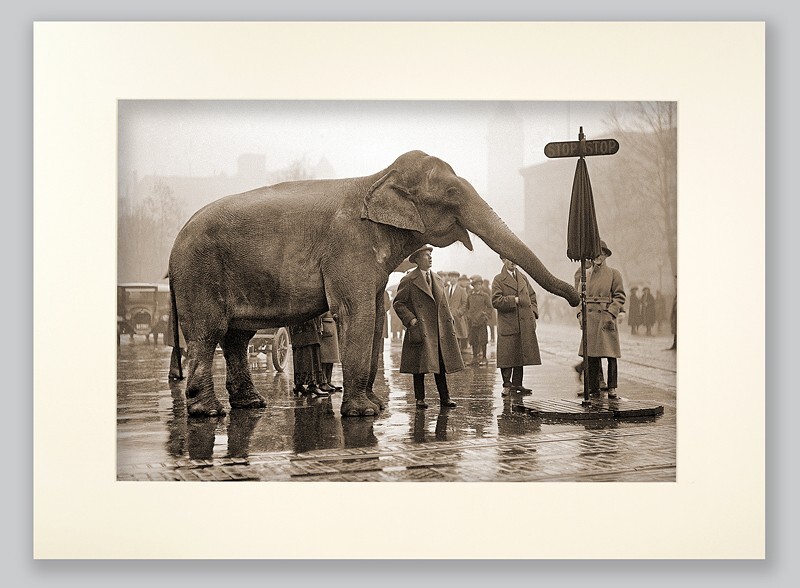  - PEOPLE & ANIMALS