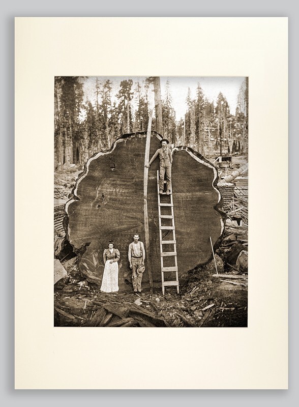 - OCCUPATIONS