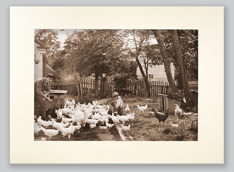  - PEOPLE & ANIMALS