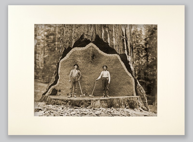  - OCCUPATIONS