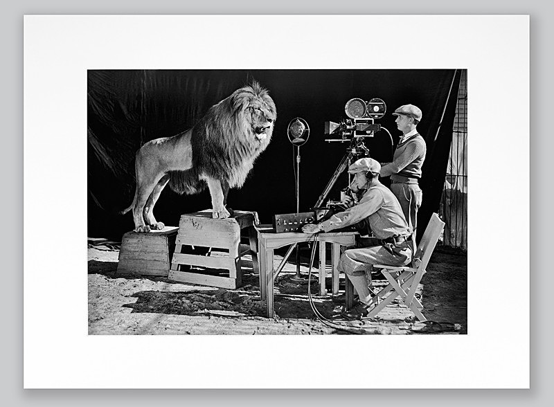  - PEOPLE & ANIMALS