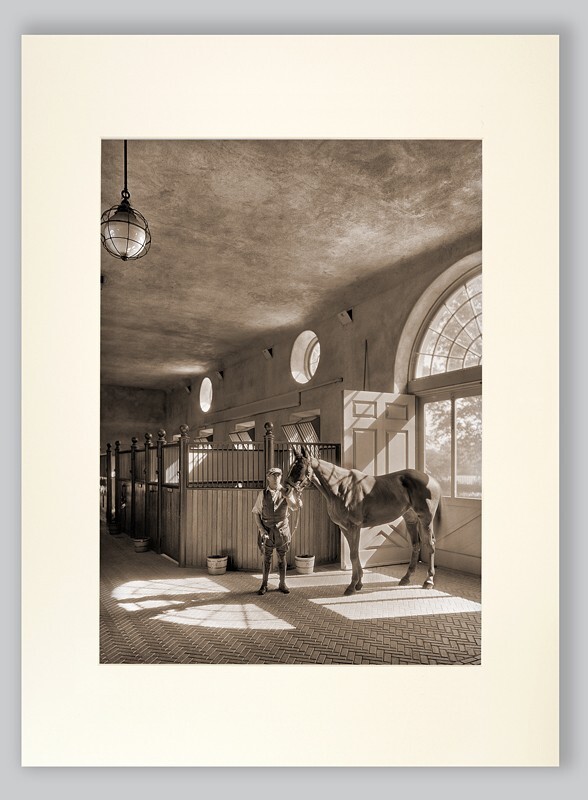  - PEOPLE & ANIMALS