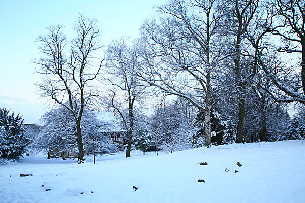 IMG_0397 - MUSEUM GARDENS