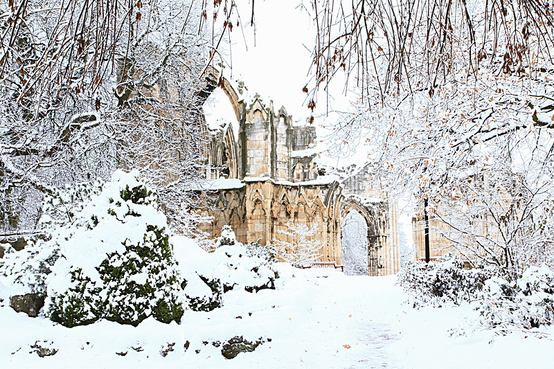 NOVEMBER 2010-2 - FOUR SEASONS MUSEUM GARDENS