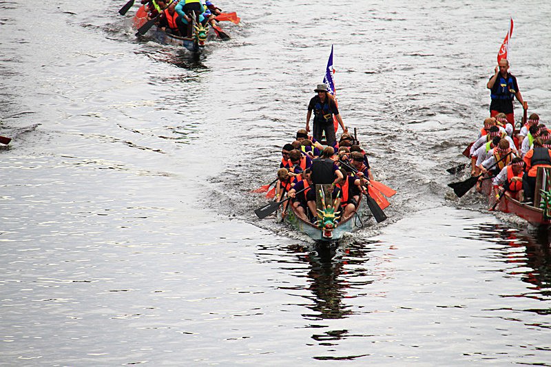 DRAGON BOAT RACE 10 July 2016 - 138 of 549 - DRAGON BOAT RACES 2016 York Rotary Club