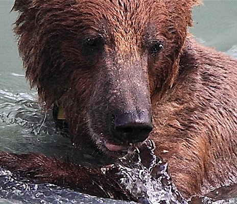 - ALASKA