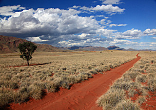 IMG_9684_2 - NAMIBIA 2012