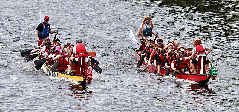 0I9A7104 - DRAGON BOAT RACE 2025
